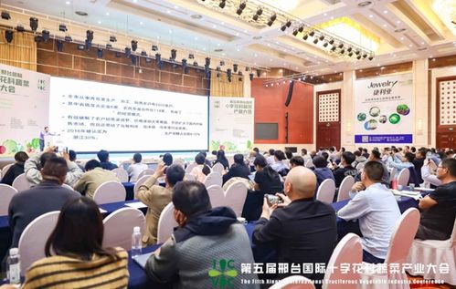 小種子撬動大產業 第五屆邢臺國際十字花科蔬菜產業大會盛大啟幕