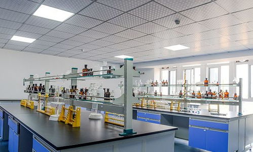 淺談食品工廠設(shè)計化驗室的設(shè)計原則與技術(shù)開發(fā)要點